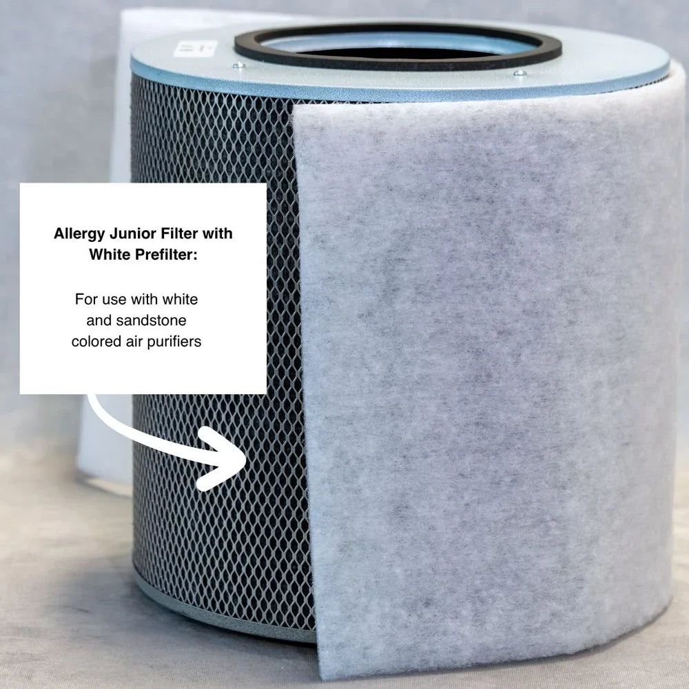 Austin Air Bedroom Machine replacement filter pack HM402