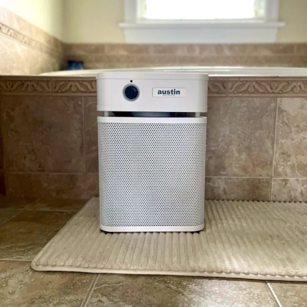 Austin Air HealthMate Junior compact air purifier with 360-degree intake and steel housing.