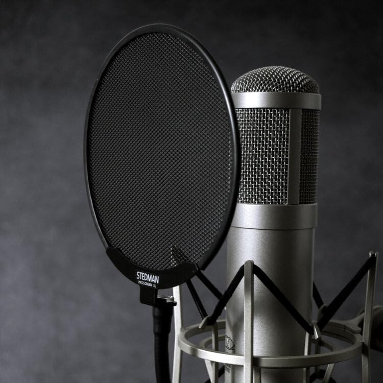 Proscreen XL metal pop filter with adjustable gooseneck attached to microphone stand for studio recording